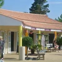 camping-les-brunelles-longeville-sur-mer-frbkr