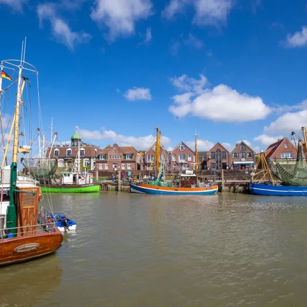 ganzjahrescamping-nordseeheilbad-neuharlingersiel-nordseeheilb-neuharlingersiel-7xeus