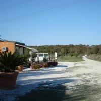 farm-camping-lago-le-tamerici-coltano-hpd5w