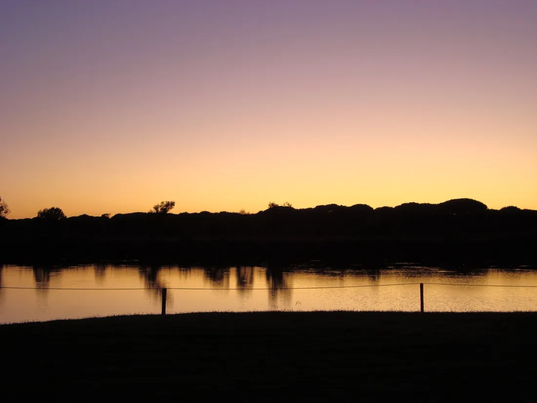 farm-camping-lago-le-tamerici-coltano-plwr3