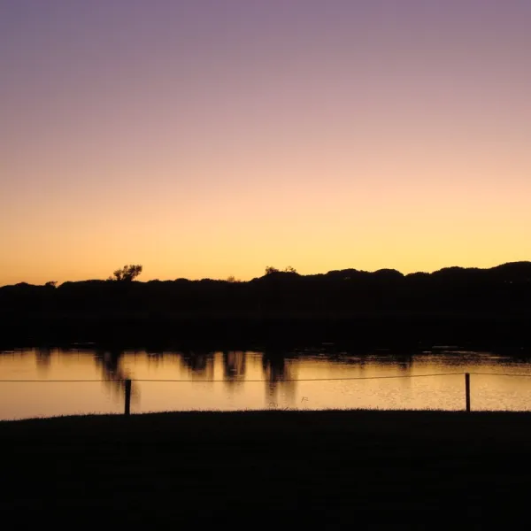 farm-camping-lago-le-tamerici-coltano-plwr3