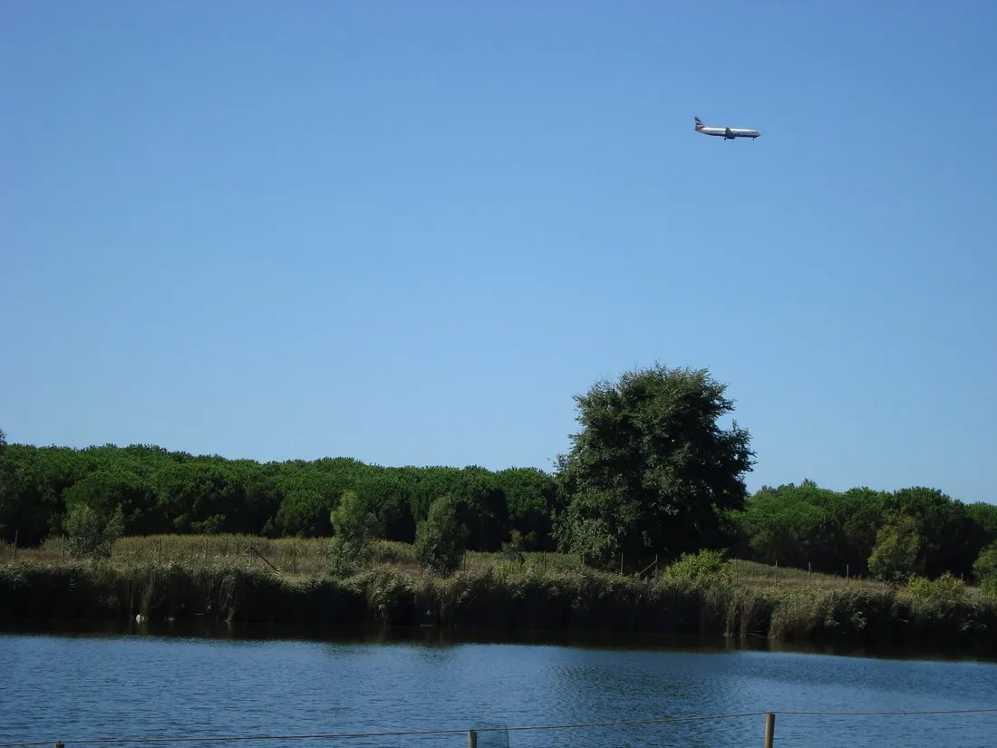 farm-camping-lago-le-tamerici-coltano-ybmuh