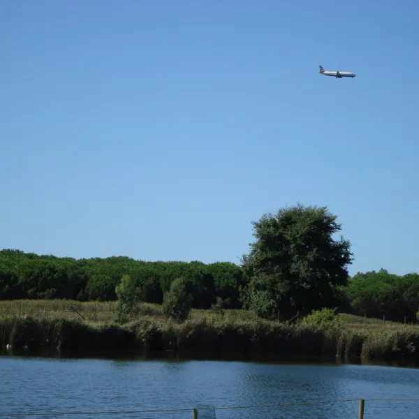 farm-camping-lago-le-tamerici-coltano-ybmuh