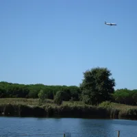 farm-camping-lago-le-tamerici-coltano-ybmuh