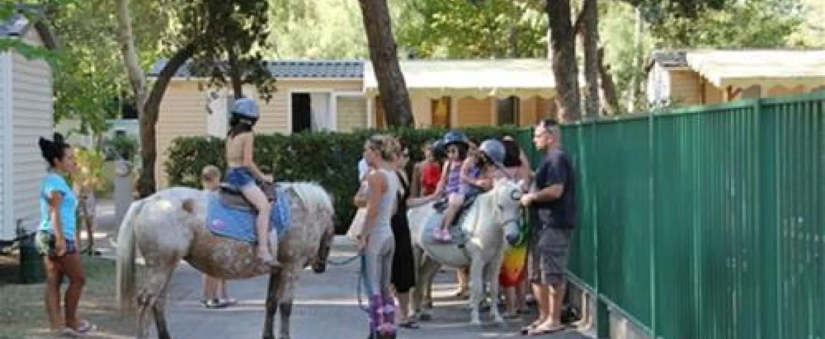 Camping Abri de Camargue  