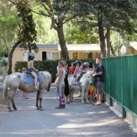 camping-abri-de-camargue-le-grau-du-roi-4duhn