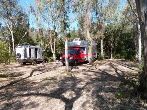 camping-naturiste-les-eucalyptus-linguizzetta-3r6q3