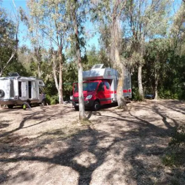 camping-naturiste-les-eucalyptus-linguizzetta-3r6q3