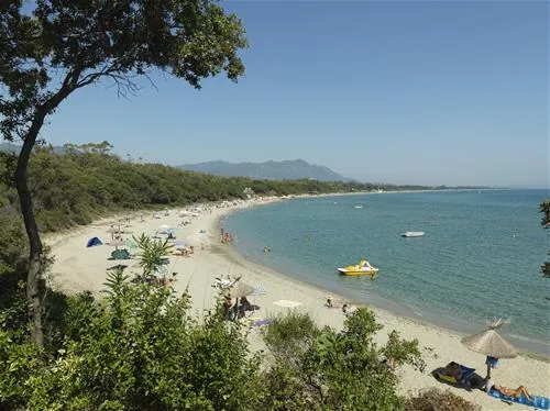 camping-naturiste-les-eucalyptus-linguizzetta-apqzz