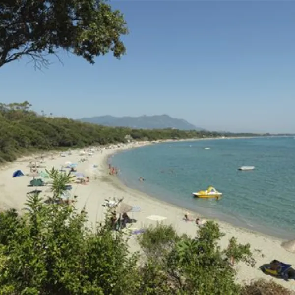 camping-naturiste-les-eucalyptus-linguizzetta-apqzz