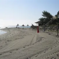 camping-naturiste-les-eucalyptus-linguizzetta-bljwr