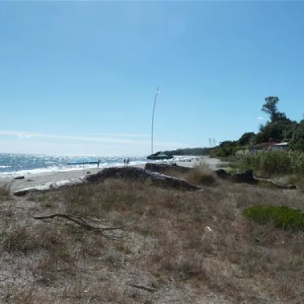 camping-naturiste-les-eucalyptus-linguizzetta-jtrwi