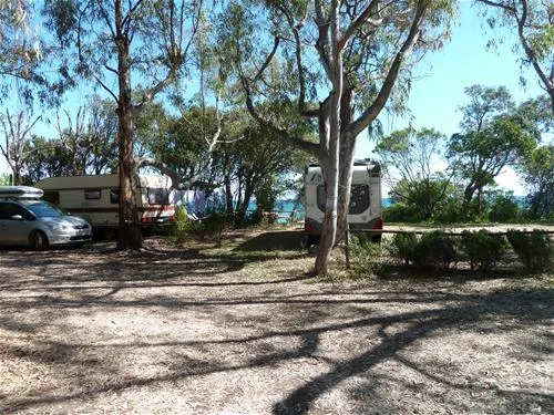 camping-naturiste-les-eucalyptus-linguizzetta-q8hly
