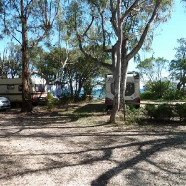 camping-naturiste-les-eucalyptus-linguizzetta-q8hly