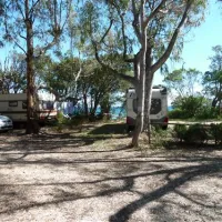 camping-naturiste-les-eucalyptus-linguizzetta-q8hly