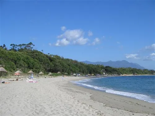 camping-naturiste-les-eucalyptus-linguizzetta-vwu4y
