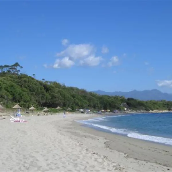camping-naturiste-les-eucalyptus-linguizzetta-vwu4y