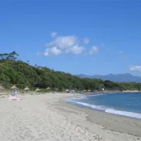 camping-naturiste-les-eucalyptus-linguizzetta-vwu4y