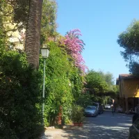 campeggio-eucalyptus-imperia-95w5o