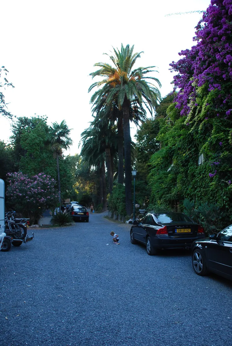 campeggio-eucalyptus-imperia-lylos