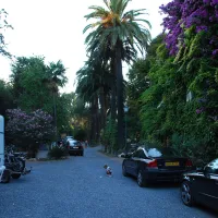 campeggio-eucalyptus-imperia-lylos