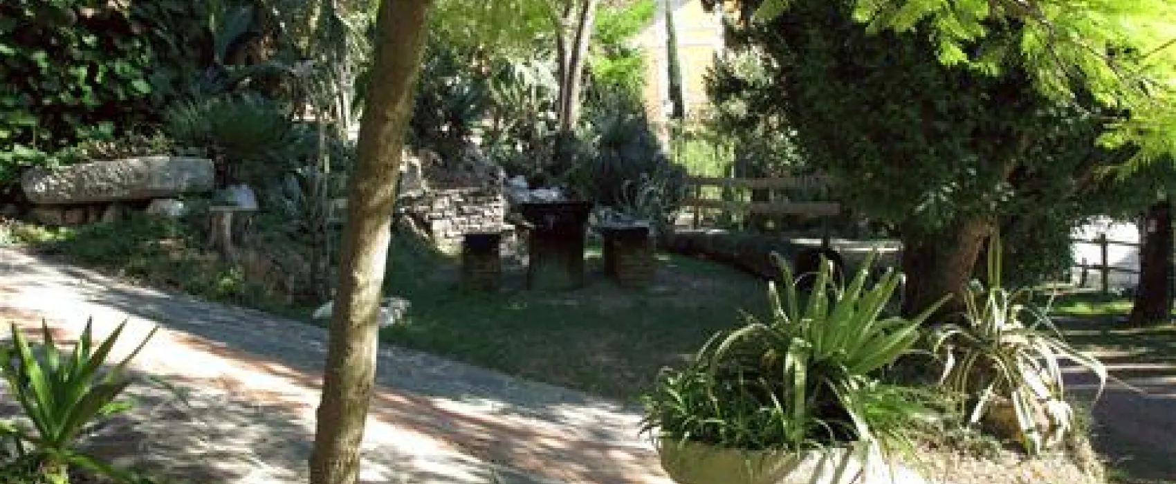 Campeggio Eucalyptus