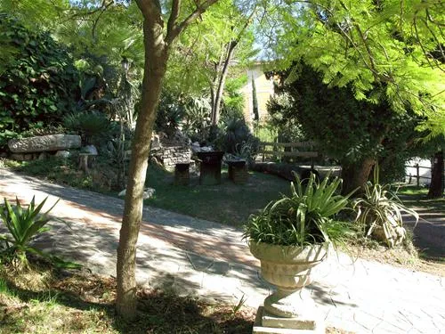 campeggio-eucalyptus-imperia-nijll