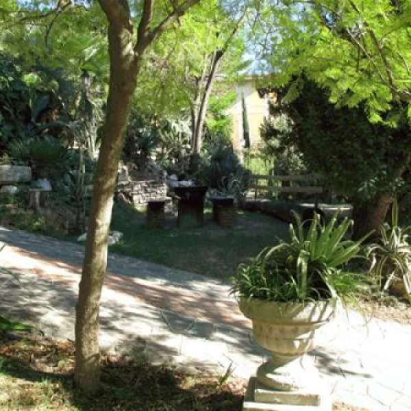 campeggio-eucalyptus-imperia-nijll