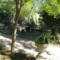 campeggio-eucalyptus-imperia-nijll