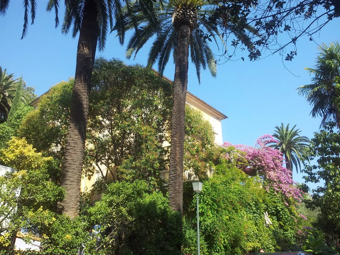 campeggio-eucalyptus-imperia-v7spq