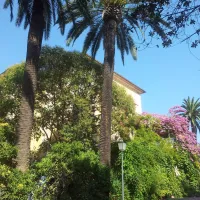 campeggio-eucalyptus-imperia-v7spq