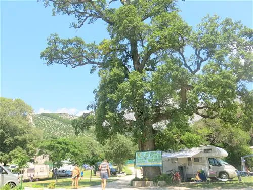 camping-viter-zaostrog-9zg2j