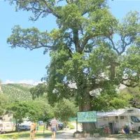 camping-viter-zaostrog-9zg2j