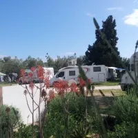 camping-viter-zaostrog-dcws4