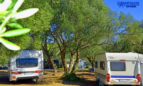 camping-viter-zaostrog-fbeni
