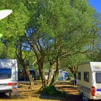 camping-viter-zaostrog-fbeni