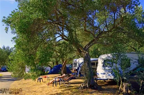 camping-viter-zaostrog-sst4k