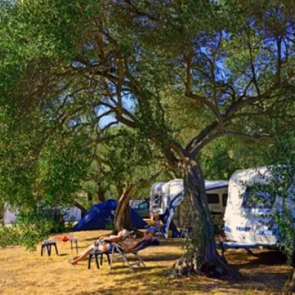 camping-viter-zaostrog-sst4k