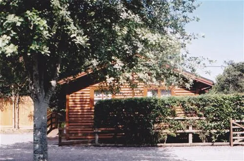 long-hazel-park-yeovil-yrs9n
