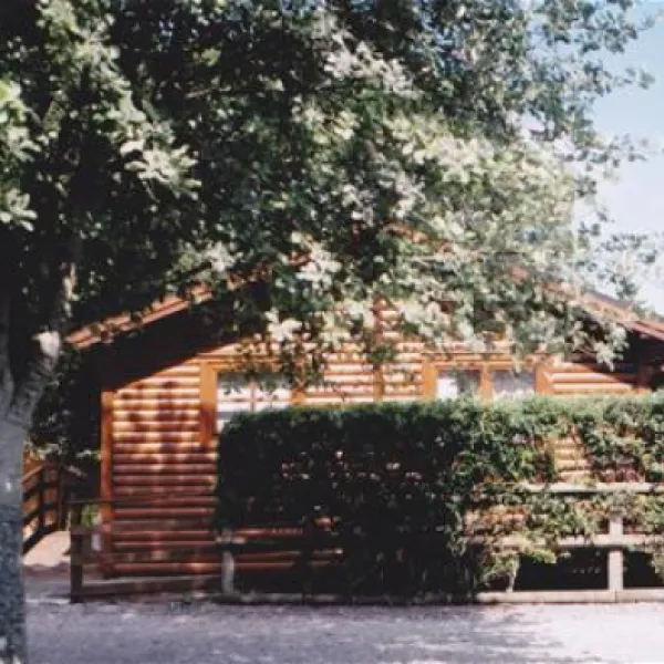 long-hazel-park-yeovil-yrs9n