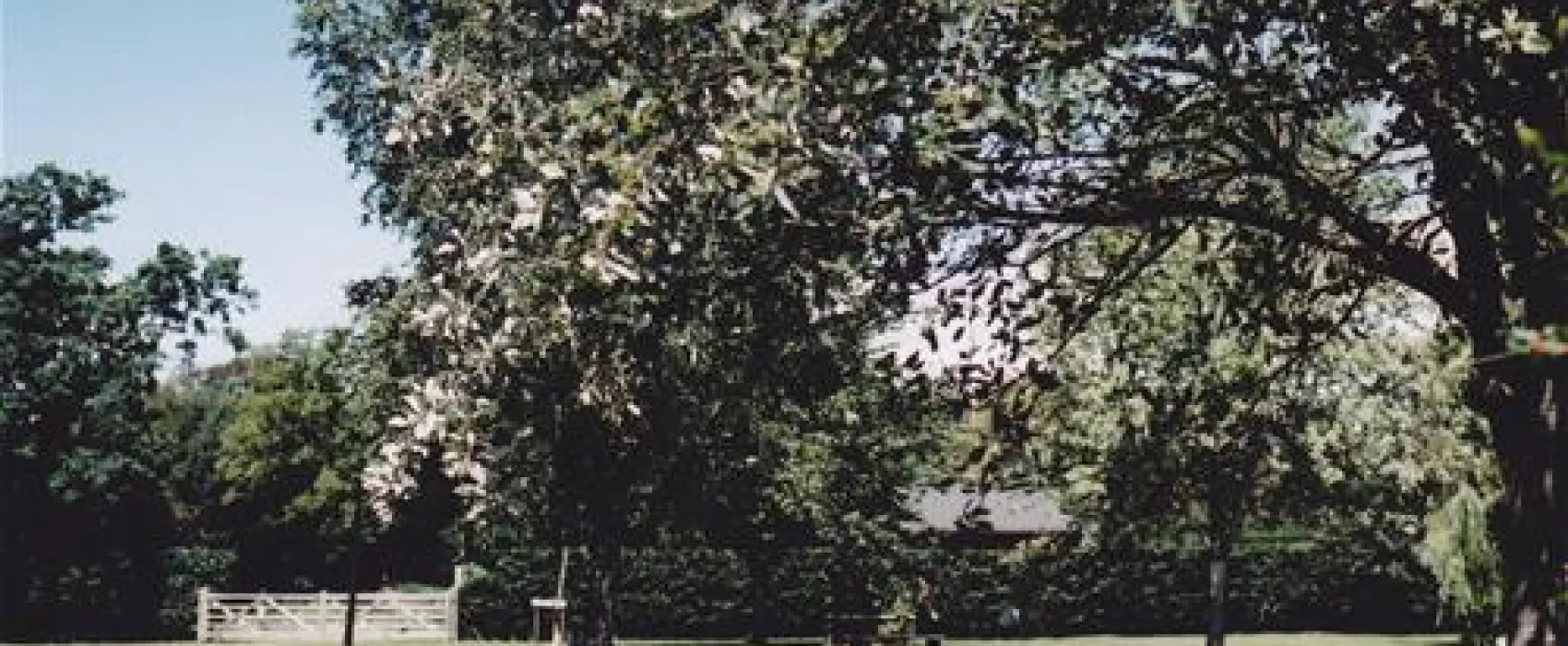 Long Hazel Park