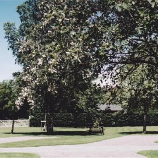 long-hazel-park-yeovil-z71td