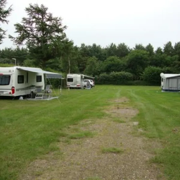 ristinge-sommercamp-humble-blosx