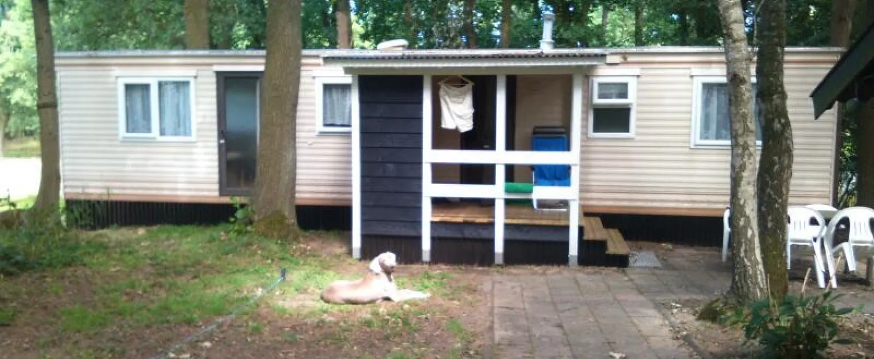 Camping Dennenlust