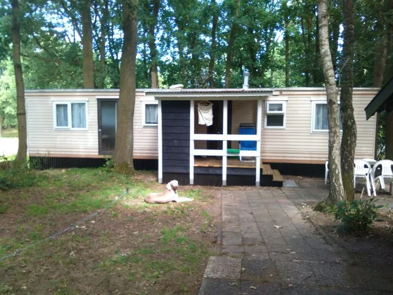 camping-dennenlust-de-lutte-jodbx