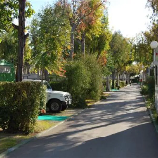 camping-torre-la-sal-i-ribera-de-cabanes-eexxs