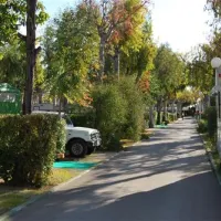 camping-torre-la-sal-i-ribera-de-cabanes-eexxs