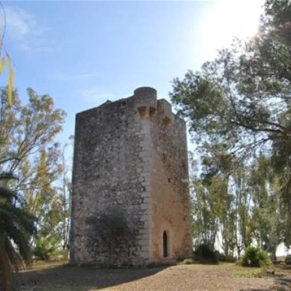 camping-torre-la-sal-i-ribera-de-cabanes-gwnhq