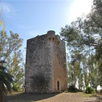 camping-torre-la-sal-i-ribera-de-cabanes-gwnhq