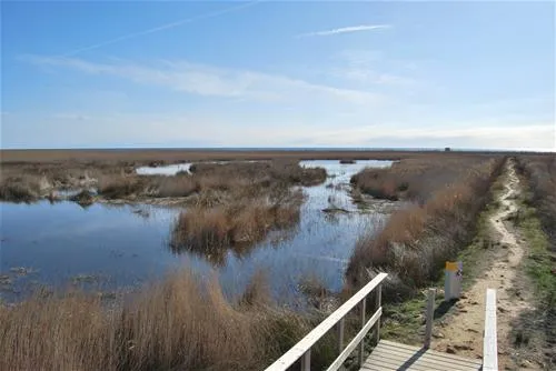camping-torre-la-sal-i-ribera-de-cabanes-zk4gc